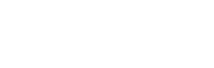 bnr_img003_icon